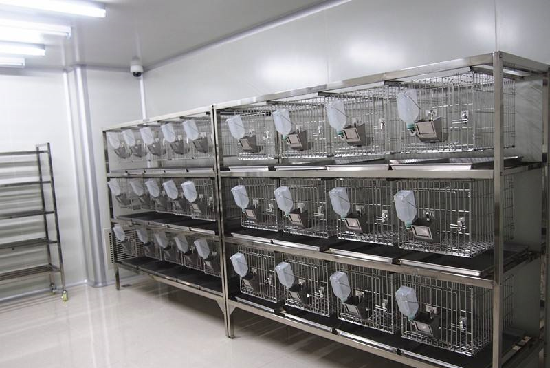 ���﷿��������